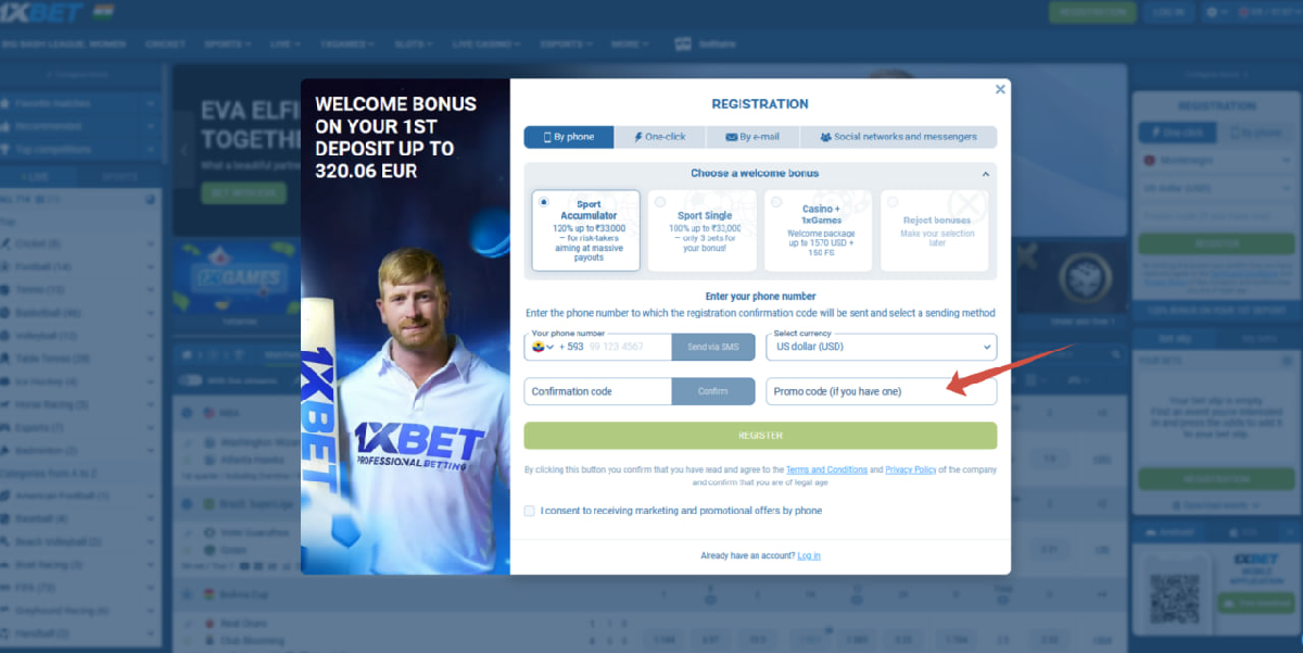 Where to enter the promo code in the Aviatrix game